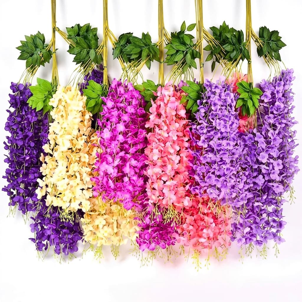 Wisteria Jumbo