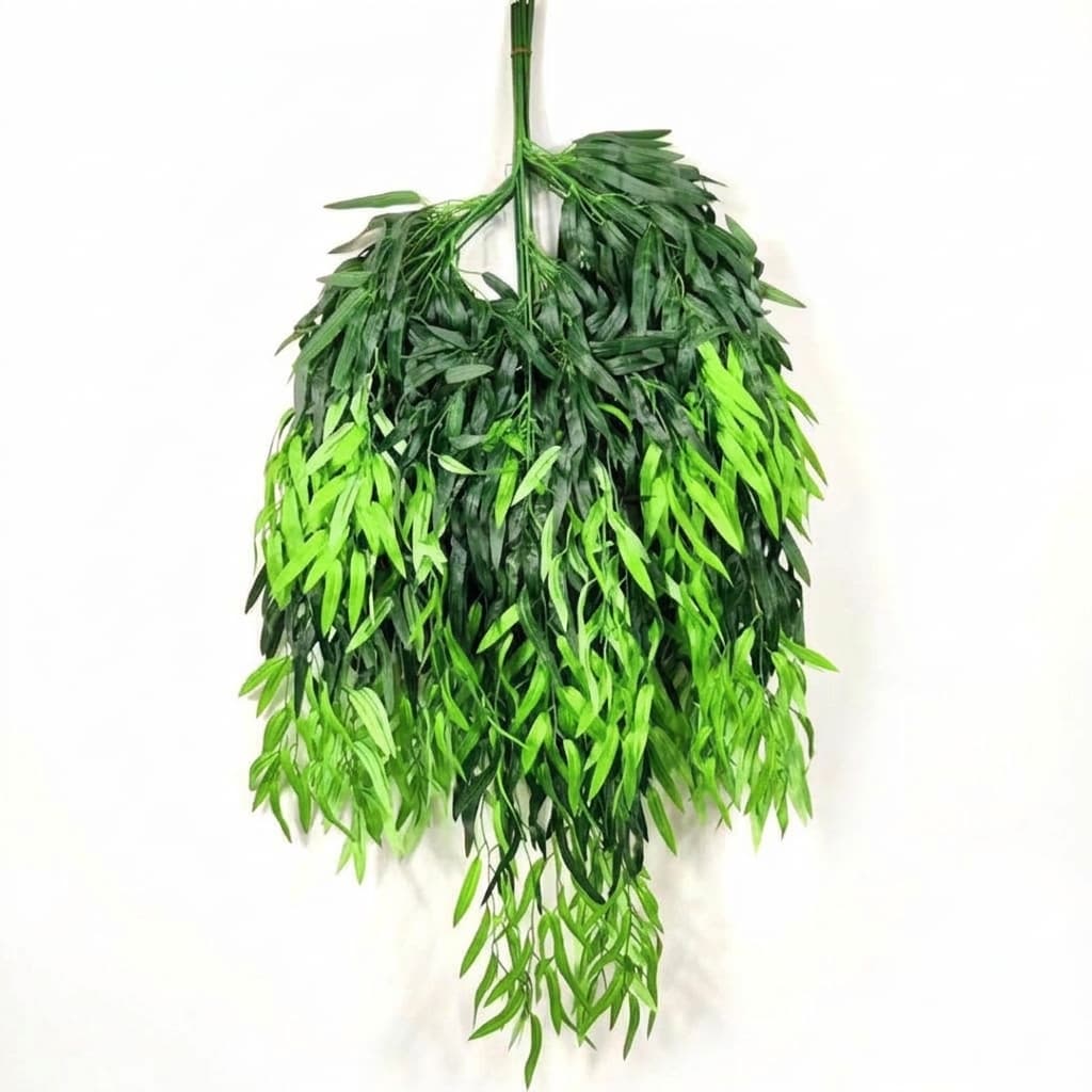 Daun Liang Liu  Willow