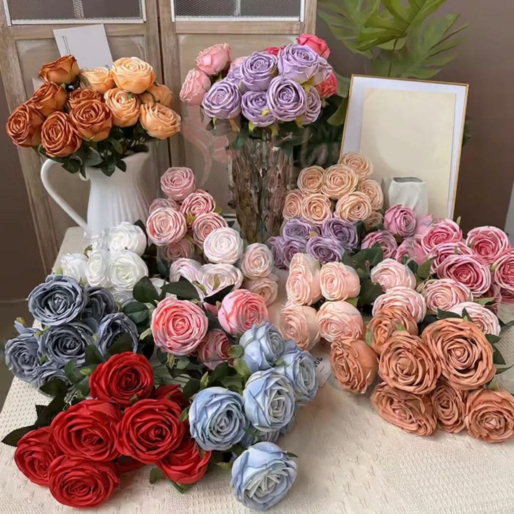 Rose Holland mawar K9