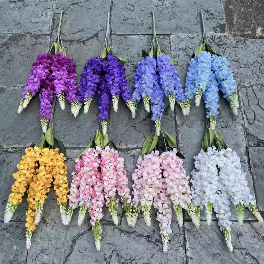 HYACINTH  CABANG 5