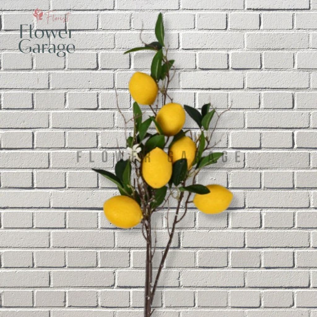 Tangkai Lemon Palsu