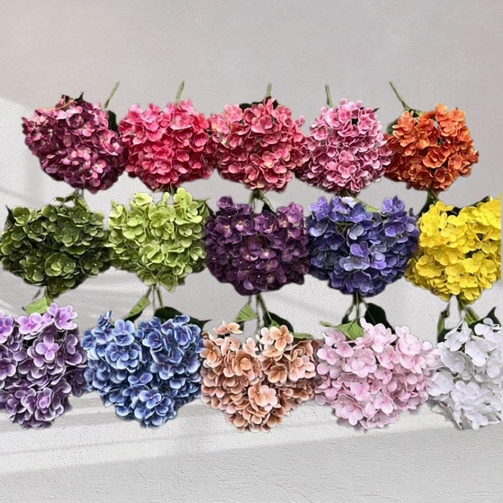 Hortensia Hydrangea V3