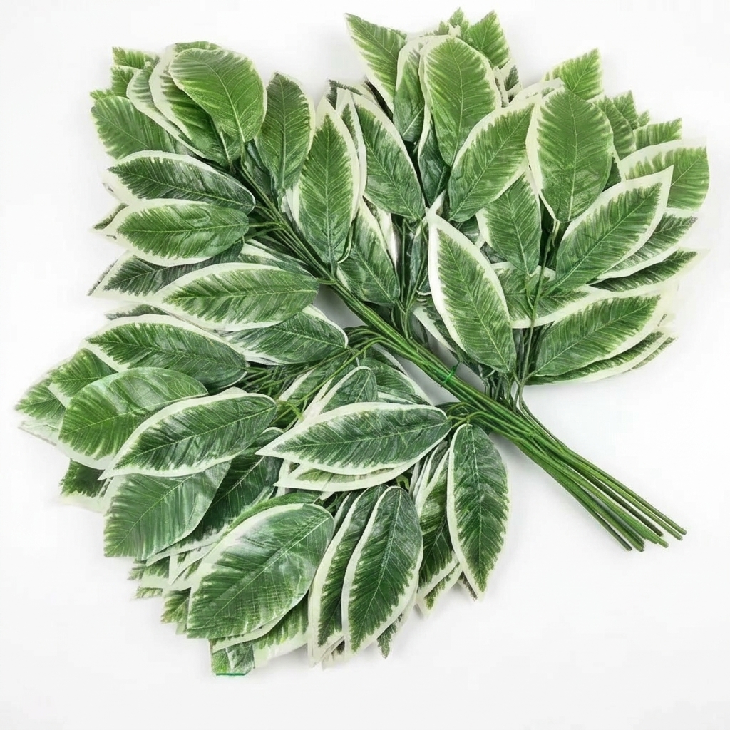 Daun Mangga K5