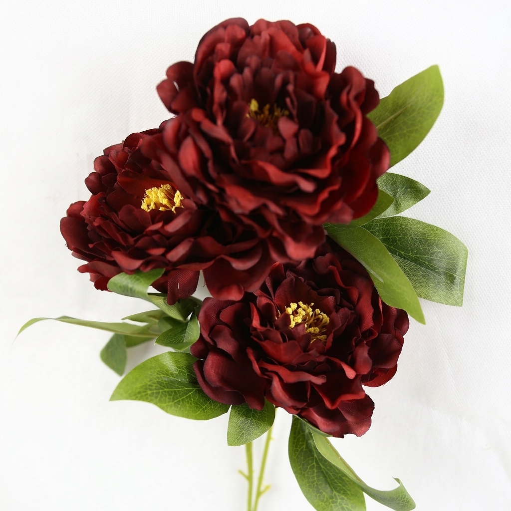 Peony Vintage