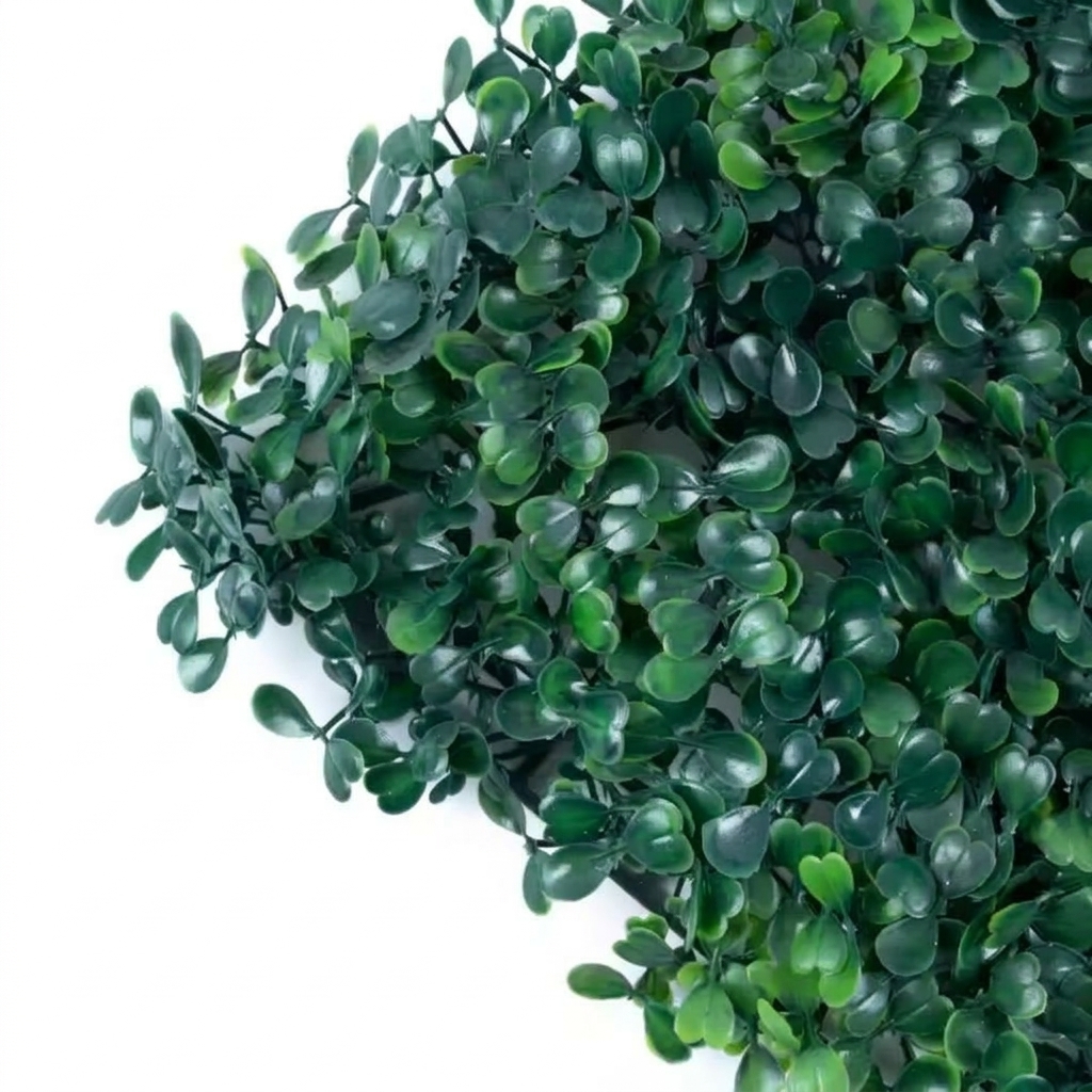 Rumput Oxylia sintetis