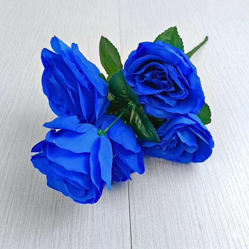 Rose Boston K5