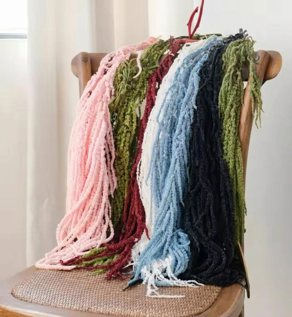 Bunga Gantung Amaranthus Dry