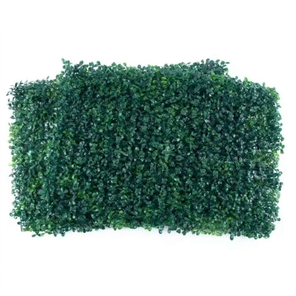 Rumput Oxylia